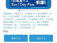 案の定15分遅れでOKA到着しました。
仕方なく1本後のバスです。
先にOTOPaっていうアプリからバス乗り放題パスを買っておきましたのでやんばる急行やリゾート線への課金はなしです。

★のりとくチケットキャンペーン
https://www.okinawapass.com/jp/

モノレール付きや1日券、数日券もありかなりお得にバス乗れます。
名護まで往復するだけでもすっかり元取れます◎
注：県外からの客に限ります。

この日、1,830円の支払いで4,000円以上の路線バスを利用しました☆
