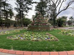 11:25
青島神社から戻ってくると綺麗なお花が
「宮交ボタニックガーデン青島」でした

1月でこんなにお花が綺麗なんて！