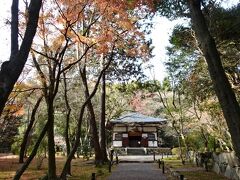 地蔵院(竹の寺)
実はここは行く予定ではなかったけど、京都駅から乗るバスを間違って嵐山方面に行ってしまったので、ついでに寄ってみた
近くに苔寺と鈴虫寺という有名な寺院があるけど、苔寺は事前予約制だし、鈴虫寺はお説法を聞くために入場に時間が決まっているというのでパスして、ここ地蔵院にやって来た
静かでとても良い風情