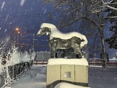 興奮気味で帯広競馬場に到着

イレネー記念の日、イレネー像には雪が積もっていました。