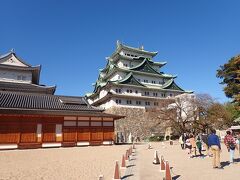 そして本丸へ。
天守閣と本丸御殿。
当時の栄華を感じます。

江戸に幕府を開いた家康でしたが
大阪の豊臣方の脅威は続く時代。
家康は1610年に加藤清正・福島正則など豊臣恩顧の西国大名20家に天下普請として名古屋城の築城を命じます。
それは豊臣方包囲網そして東海道の防衛を固めるとともに諸大名へのけん制もあったようです。
近世城郭建築の完成期。最新の技術がここ名古屋城へつぎ込まれました。
現在は復興天守となってお城の形をしたビルなんても言われているもののこの壮麗な姿は美しいです。
