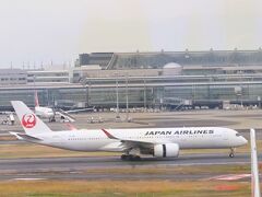 羽田空港　JAL261便　　　　59/　　　5