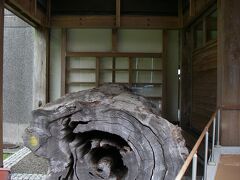 13:11 屋久杉自然館に移動
入口には旧天柱橋が展示して有った