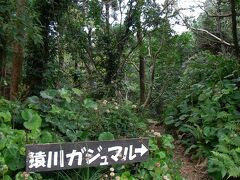 14:33 猿川ガジュマルと言うガジュマルの森への入口らしい
