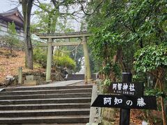 お腹いっぱいになったので、お散歩します。
阿智神社へお参り。階段&登り坂が堪えます。
とても綺麗にされている神社です。
御朱印は直書きしてくださいました。