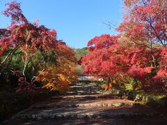 二尊院の紅葉の名所、紅葉の馬場。