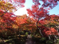 宝筐院。境内全体が庭園のようになっている。