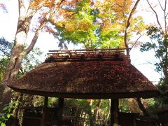 祇王寺。茅葺き屋根のある質素な雰囲気の小さなお寺。