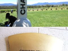 ★ドメイン・シャンドン★
「Yarra Valley（ヤラ・バレー）」ヤラバレーにワイン畑が広がり、ワイナリーが点在
「ドメイン・シャンドン　Domaine Chandon」は、
ルイ・ヴィトンなどを抱える高級ブランドグループLVMH傘下のラグジュアリーなワイナリー　泡を飲みます。

https://www.chandon.com.au/

オーストラリアで最も有名なワイナリー。ドンペリニヨンで知られるフランスの老舗シャンパンメーカー、モエ・エ・シャンドン社が生産拠点として1986年に設立。スパークリングワイン作りや保管庫の見学、試飲をお楽しみください。試飲は通常6種類のスパークリングワインとなります。