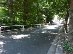 明治大学の裏手にある錦華坂は、歩道の街路樹や錦華公園の木々が生い茂って
陰を作り雰囲気のある坂道でした。