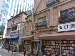 矢口書店