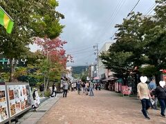 駅前からバスに乗ること数分で旧軽井沢銀座に到着。
あら、そこそこ人がいらっしゃる。けどもうこの辺は全然覚えていないなぁ。