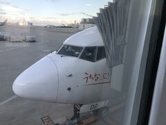 うちなーの翼、JTA001便です。