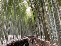 天龍寺を、北門からでて、竹林の小径へ