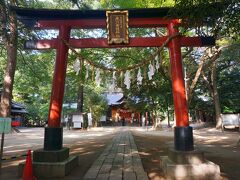 ●氷川女體神社

「氷川女體神社」感じが難しいですね。
宗教上の登録の漢字は、旧字体の「體」ですが、今の字体に直すと「体」
なので「氷川女体神社」になります。
わかりやすくてすっきりですね。