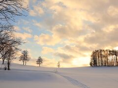 8日は遅く出てきたので残念ながら上記2か所の撮影で終了です。そして、4日後の1月12日に再度出かけました。この日も雲がまばらで、中に青空が見える日で条件は悪くありません。期待をしながら出かけました。空の色の変化に期待します。