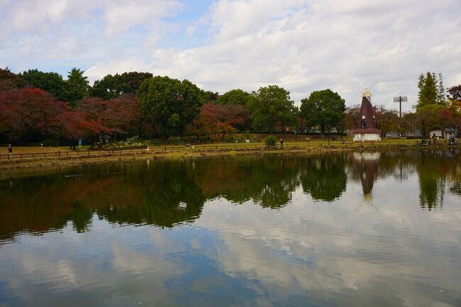 ●浮間公園＠JR/浮間舟渡駅界隈<br /><br />この池は、「浮間が池」と言うそうです。<br />この公園の約4割を池が占めています。