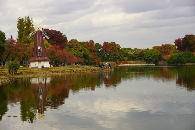 ●浮間公園＠JR/浮間舟渡駅界隈<br /><br />この公園のシンボル「風車」が見えています。<br />