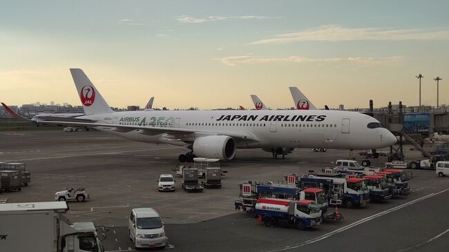●羽田空港第一ターミナル<br /><br />このA350機はどこに行くのだろう…。<br />伊丹に比べ、大型機の多い羽田。<br />飛行機を見てワクワクするのは、昔も今も変わりません。