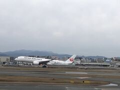 福岡空港に到着。(写真は展望デッキから撮ったA350)
いつものように、着陸待ちで福岡上空で旋回。久しぶりの福岡にワクワクしていました。
