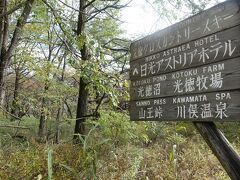 　光徳牧場近くに駐車して少し周辺を歩きました。