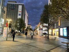 旭川駅前のコインパーキングへ車を止めて、チェックインの前に夕食へ向かいます。
平和通買物公園を北へ向かって歩きます。