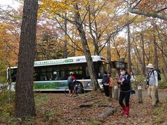 　１２：３２　石楠花橋のバス停。赤沼～小田代ヶ原間は低公害バスが走っています。