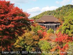 清水寺本堂

国宝に指定されている本堂には本尊の千手観音菩薩が祀られています。
第16番札所の納経所は、本堂右手にあります。


清水寺：https://saikoku33.gr.jp/place/16
本堂：https://www.kiyomizudera.or.jp/history.php#hall
国宝：https://kunishitei.bunka.go.jp/heritage/detail/102/1729
千手観音：https://ja.wikipedia.org/wiki/%E5%8D%83%E6%89%8B%E8%A6%B3%E9%9F%B3