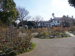 イングリッシュガーデン=バラのイメージがありますが、横浜イングリッシュガーデンも多くのバラを楽しむ事が出来る庭園のようです。訪問時は、花の季節ではないため枯れ木の庭園でした。