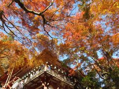 談山神社（たんざんじんじゃ）へ。