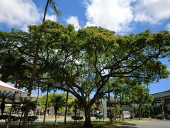 ダニエル K イノウエ国際空港 / ホノルル国際空港 (HNL)