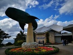 本日の最終目的地、数年ぶりのチラ見水族館。