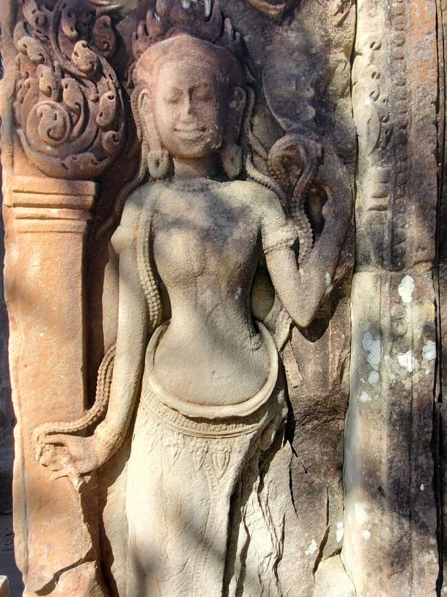 あら　かわいいデバダーさん<br /><br /><br />正面入口からは入らず　左側の擁壁へ向かいます