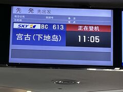 宮古島に行くには宮古下地空港と宮古島空港がありますが、数年前に新しく開港した下地島空港への直行便で行きます。
羽田11:05発で、約3時間半の飛行です。
時間が中途半端だったので、お昼ごはんは空港で買った天むすと味噌カツサンドをちー様とシェアして食べました。
お腹いっぱい過ぎると沖縄グルメが堪能できないので、少し控えめにしました。