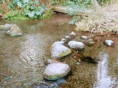 六仙公園をでて、南沢氷川神社に向かう途中、南沢湧水群の一つがありました。
東久留米の「落合川と南沢湧水群」は「平成の名水百選」に東京都で唯一選ばれています。確かにきれいです。