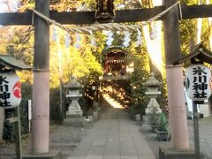 8:09、南沢氷川神社に到着しました。緑が多い住宅街に静かに佇んでいます。ピンクの鳥居？