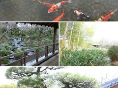姫路城のお隣、好古園。いろいろなお庭がありますがこの時期は花なし、紅葉なし、雪なしで鯉とメンテナンス作業を主に見学。寒い中お疲れ様です。