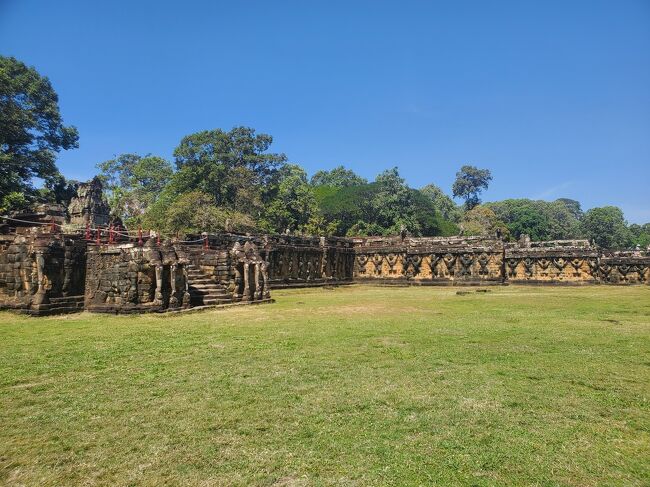 見たら　手の甲を歩いている　アリ<br />見たことのない色　飴色より　テカリはなく　そうここの地面の色　黄土色でフォルムは腹は大きくはなく　胸と腹のバランスが良い