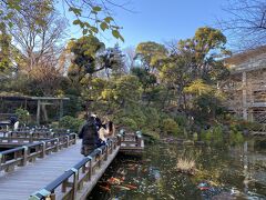 こんな都心の一等地にある由緒正しい神社の池を
濁らせてはもったいないですよね
東郷神社に併設されている東郷会館では結婚式も行われるわけだから