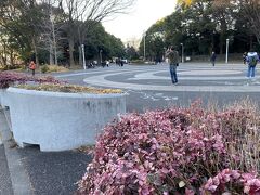 代々木公園そばに車を置いて東郷神社まで歩きます。