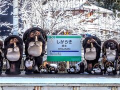 事前情報通り、終着の信楽では、たくさんのタヌキたちが戯れておりました。。