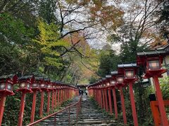 2022秋
今年の紅葉は貴船神社から

行きは四条から地下鉄で国際会館へ
国際会館駅前バス停から京都バスで貴船口へ
そこから歩いて叡電貴船駅前バス停へ
貴船行きに乗って貴船下車
まずは本宮から
