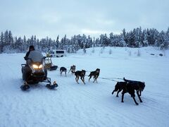 お昼は犬ぞり
こっちもベックスケンネルにお願いしました

スノーモービルの女性は日本人の犬の飼育員さん
かっこいいです