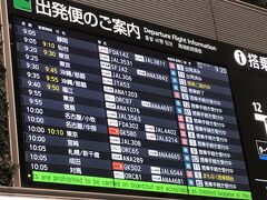 　欠航便は、ありません。修学旅行生らしい集団がゾロリ。今頃行くの？
検査場は混むでしょうから、早めに行きましょう。