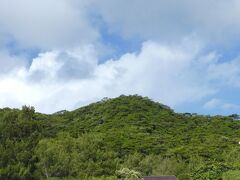 海から見る座間味の森