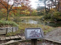 　１３：４６　泉門池。静かな池です。