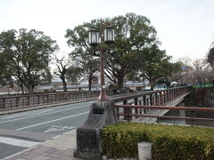 像の後ろには【熊本城】へと続く「行幸坂」があります。

行幸坂一帯には桜が植えられていて桜の名所になっています。