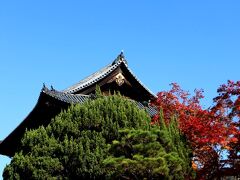 駆け足で天授庵を楽しんだので、南禅寺敷地内も少しはお散歩する時間があるかしら？？