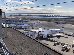 もうすぐ退役のJALのB-777-200ERに会いに来ましたが、701Jと702Jは那覇と福岡に行った後でした←調べてから来いよ
703Jは飛んでなくて、今日はお休み中なのかな
W64三兄弟ももうすぐお別れ　うう寂しい

今見えるのはA350とB787ばっかりですね
でもA350-1000は早く見てみたいです　ニューヨークからの予定ですって