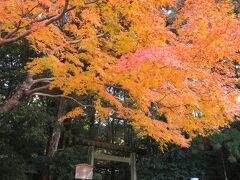 皇大神宮（内宮）の別宮、月読宮（つきよみのみや）へ。入口の紅葉が綺麗。